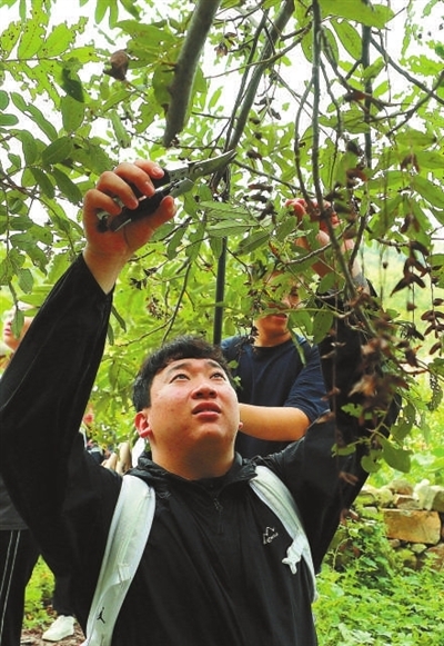 走,上山采药去! 走,上山采药去!