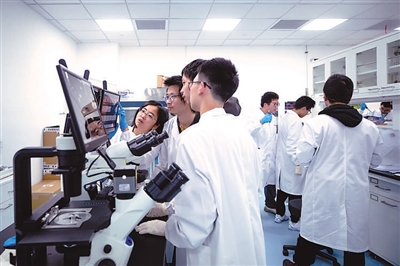 杭州科技创新蓬勃发展背后的教育力量