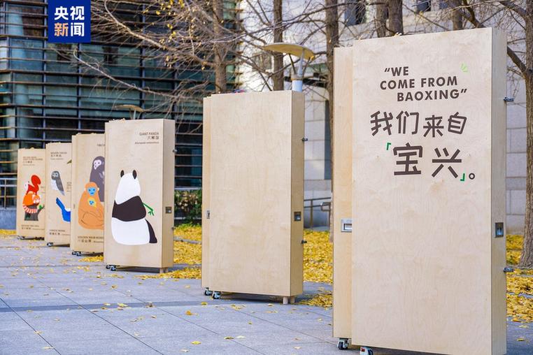 亲子互动、银发陪伴……大熊猫国家公园上新四条自然教育线路