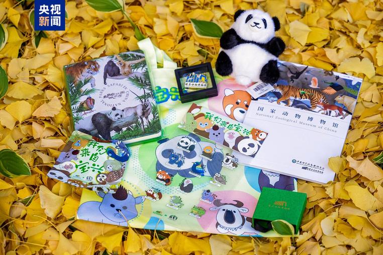 亲子互动、银发陪伴……大熊猫国家公园上新四条自然教育线路