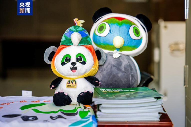 亲子互动、银发陪伴……大熊猫国家公园上新四条自然教育线路