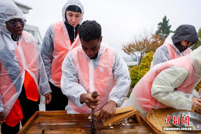 中外学子炮制药材 感受中草药妙用