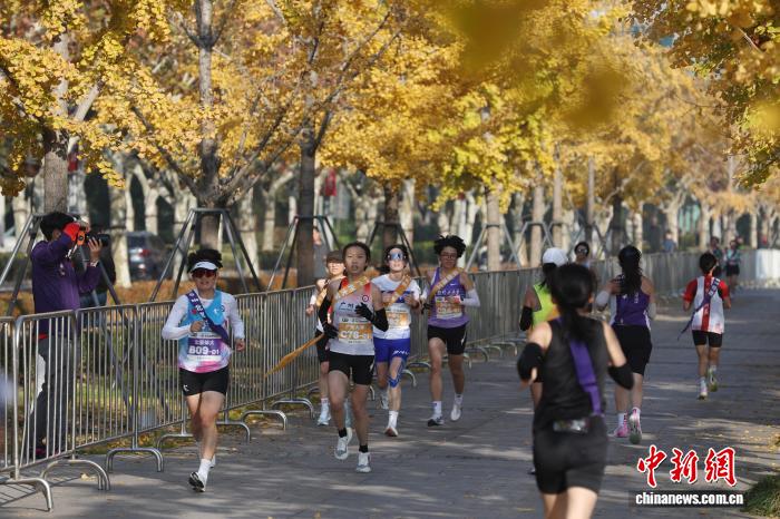 2025高校百英里接力赛总决赛在上海鸣枪起跑