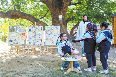 法治教育进校园