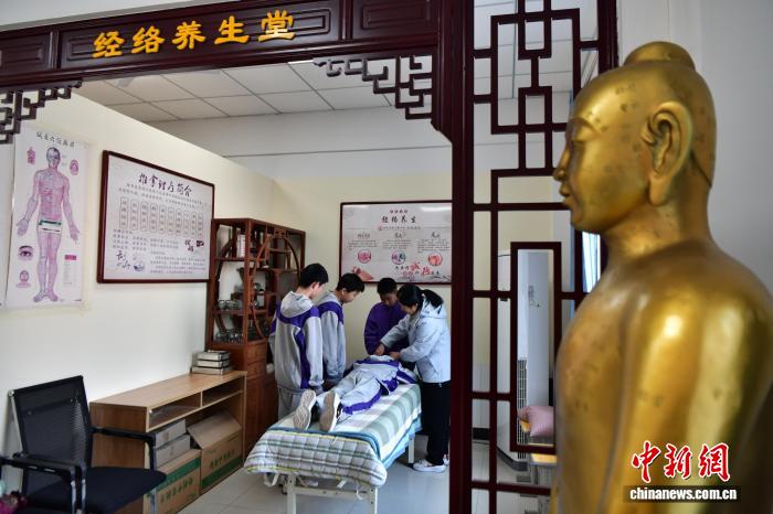 中医药文化浸润校园