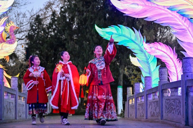 安徽合肥：体验民俗赏灯会