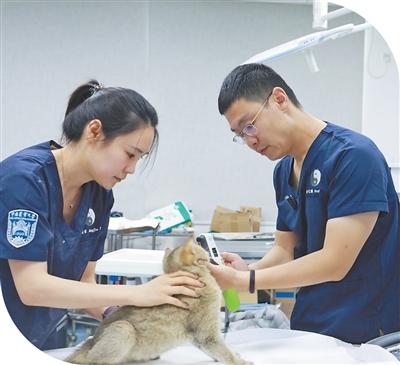 守护那股生生不息的韧劲