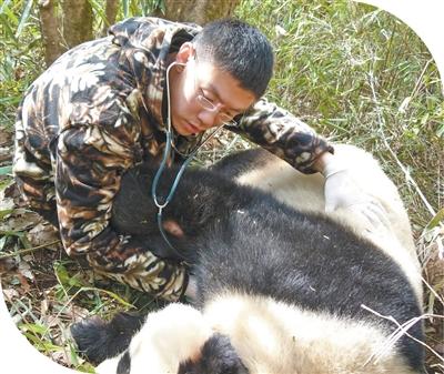 守护那股生生不息的韧劲