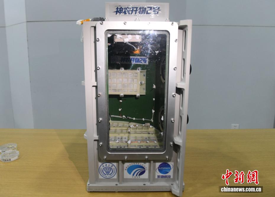 “太空蝴蝶”破蛹飞翔