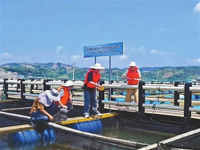 昂起高教龙头 勇闯综改新路