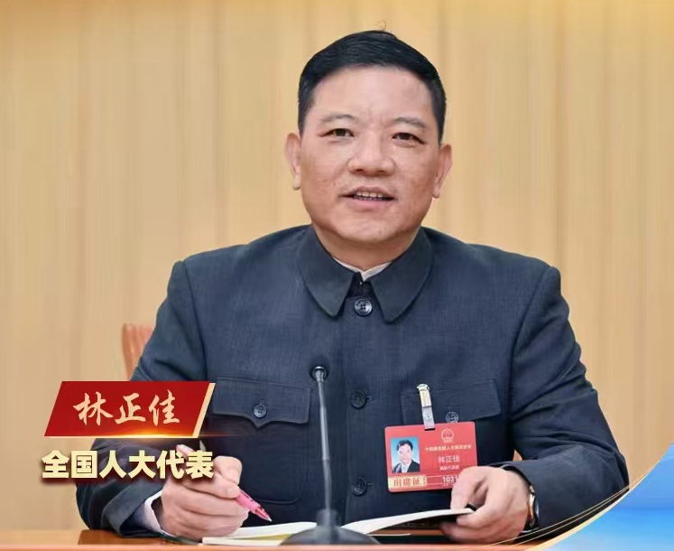 林正佳代表：产教融合育新人，让青年学子感受非遗匠心