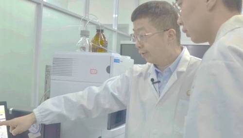 科技引领“骨”质飞跃:江南大学团队突破白酒大曲智能制造关键技术 科技引领“骨”质飞跃:江南大学团队突破白酒大曲智能制造关键技术