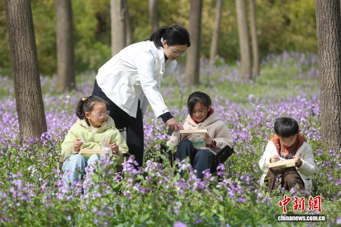 河南三门峡：师生户外写生绘春天