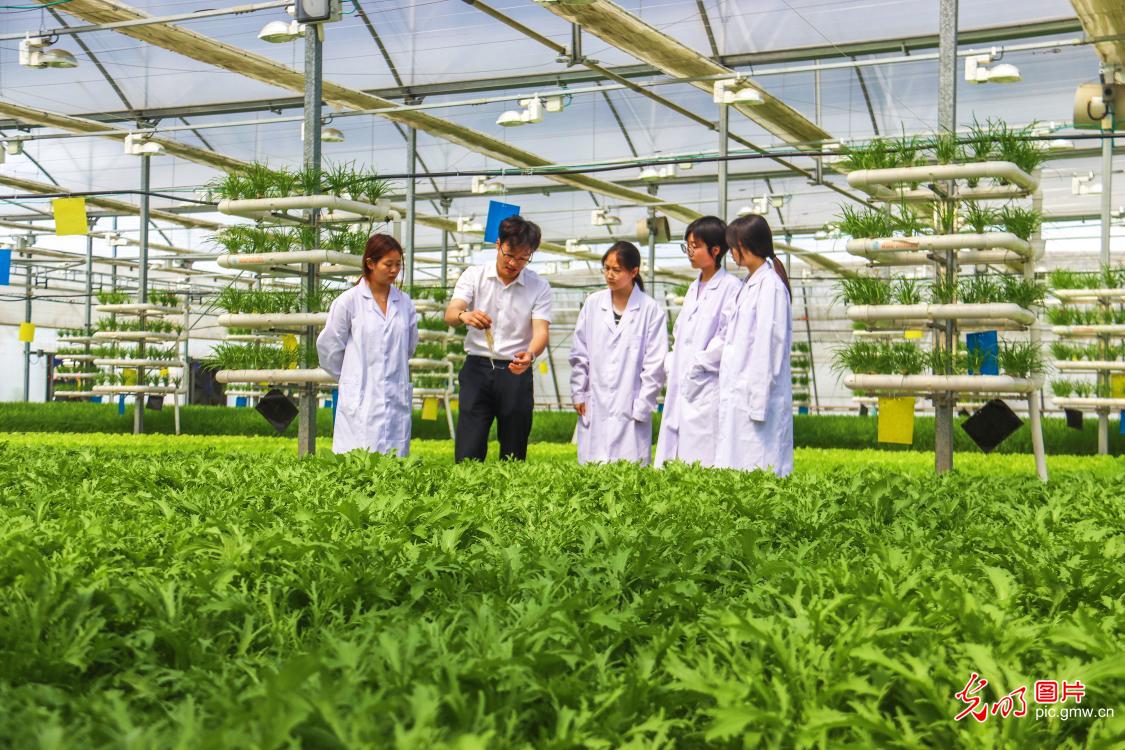 【职引未来】课堂对接岗位 产教融合护航青年逐梦路
