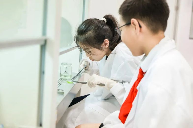开启智趣童年 第六届“科学探秘”奥林匹克暨六一游园实践举行
