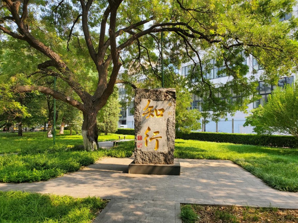 【高招时间】北京交通大学:深耕交通特色 多元培养筑就学子成才之路 【高招时间】北京交通大学:深耕交通特色 多元培养筑就学子成才之路