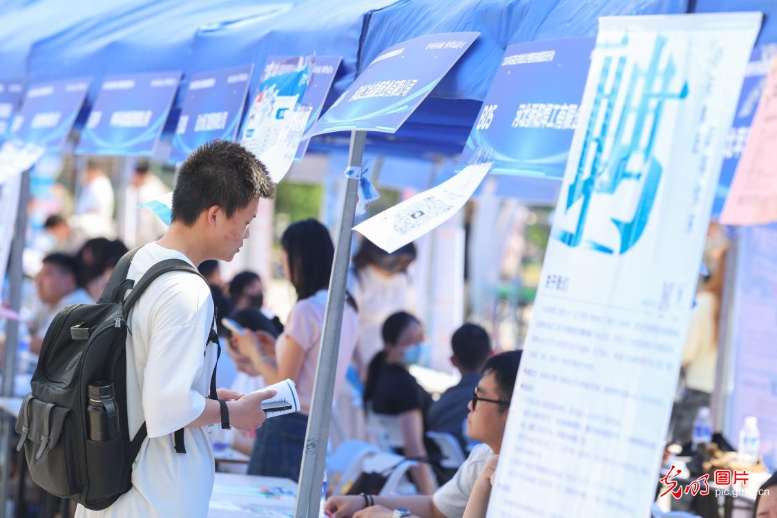 【职引未来】“百日冲刺”正当时 多方聚力精准服务促就业