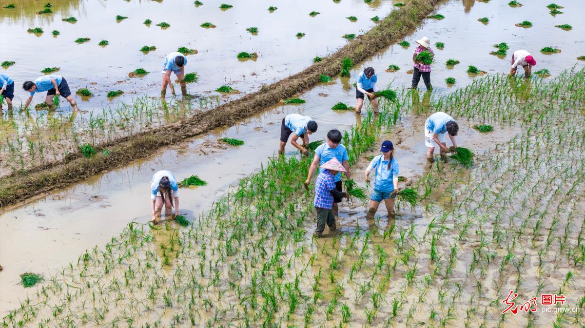 从课堂走向广阔天地 青春在基层一线拔节生长