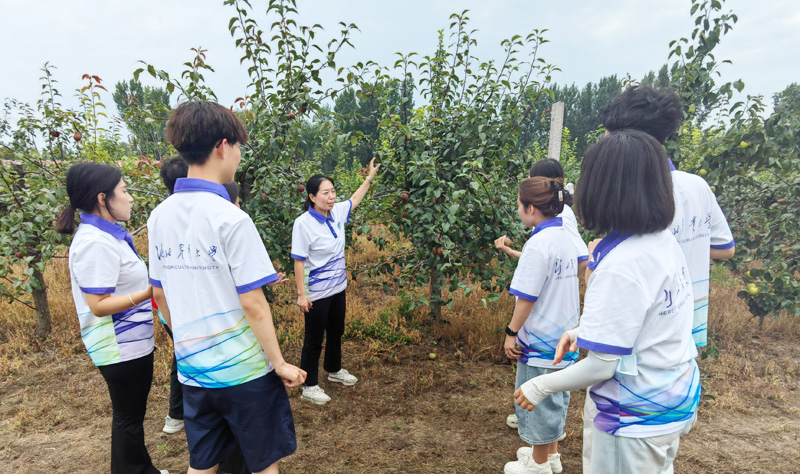 “三下乡”社会实践：青春与时代共鸣