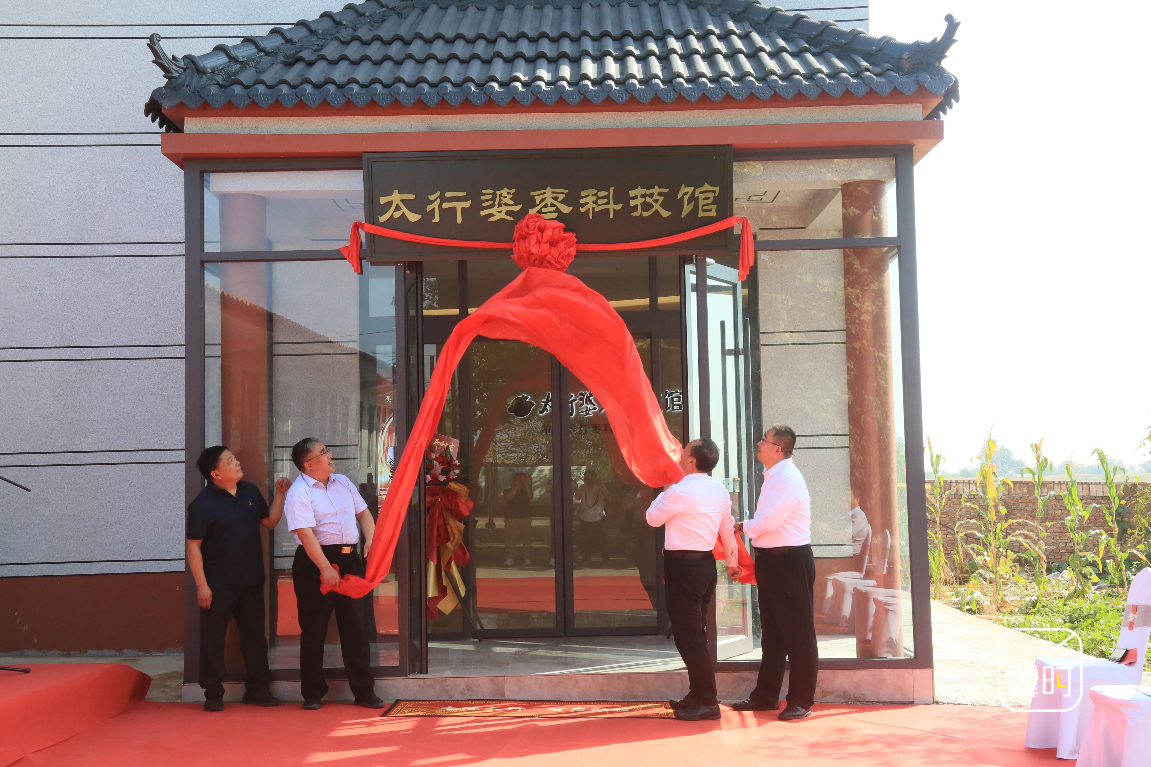 全国劳动模范卢彦鸽：太行婆枣科技馆助力产业提升级