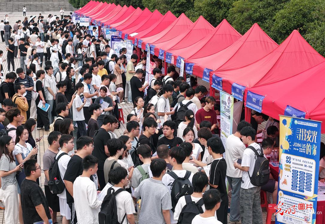 精准送岗是助力,能力素养是底气 精准送岗是助力,能力素养是底气