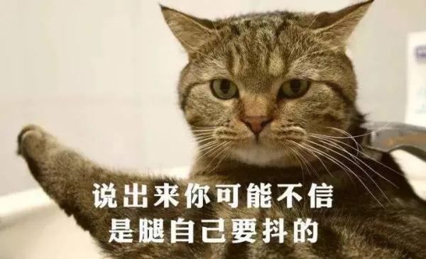 孩子抖腿抖不停，这是病还是毛病？