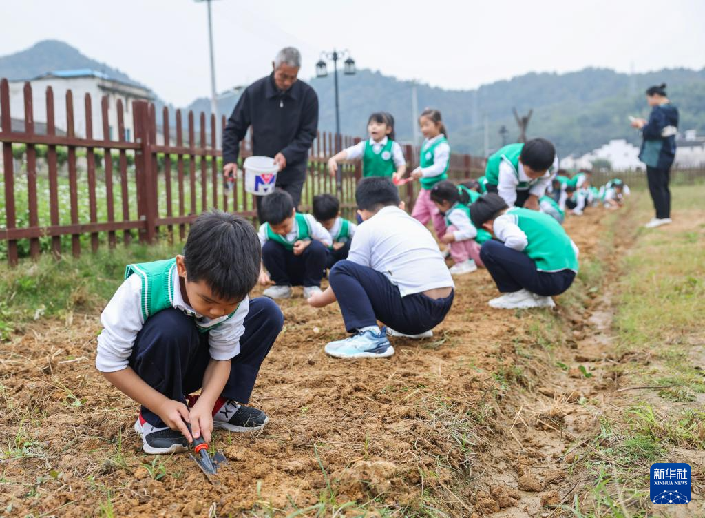 浙江诸暨：研学游激发古村新活力