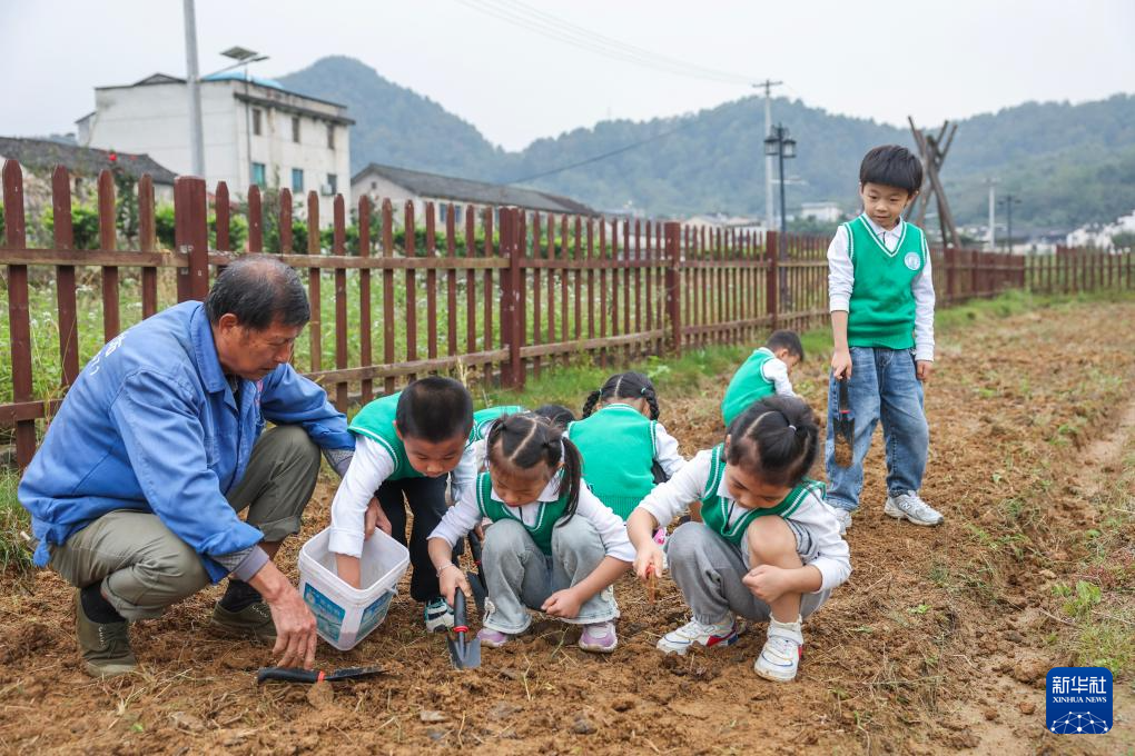 浙江诸暨：研学游激发古村新活力